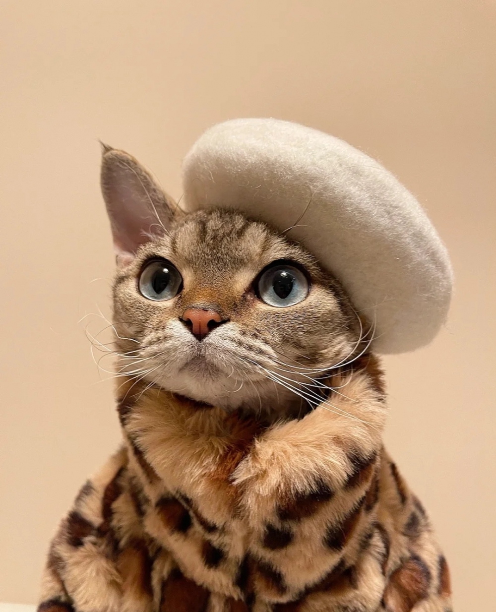 奴才：還不錯啊