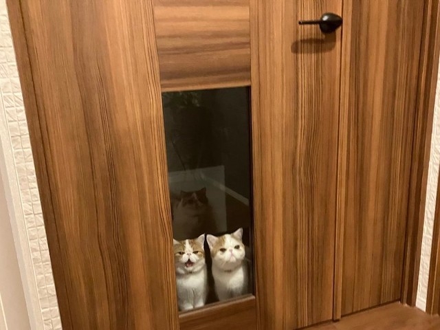 奴才：天啊！嚇死人了