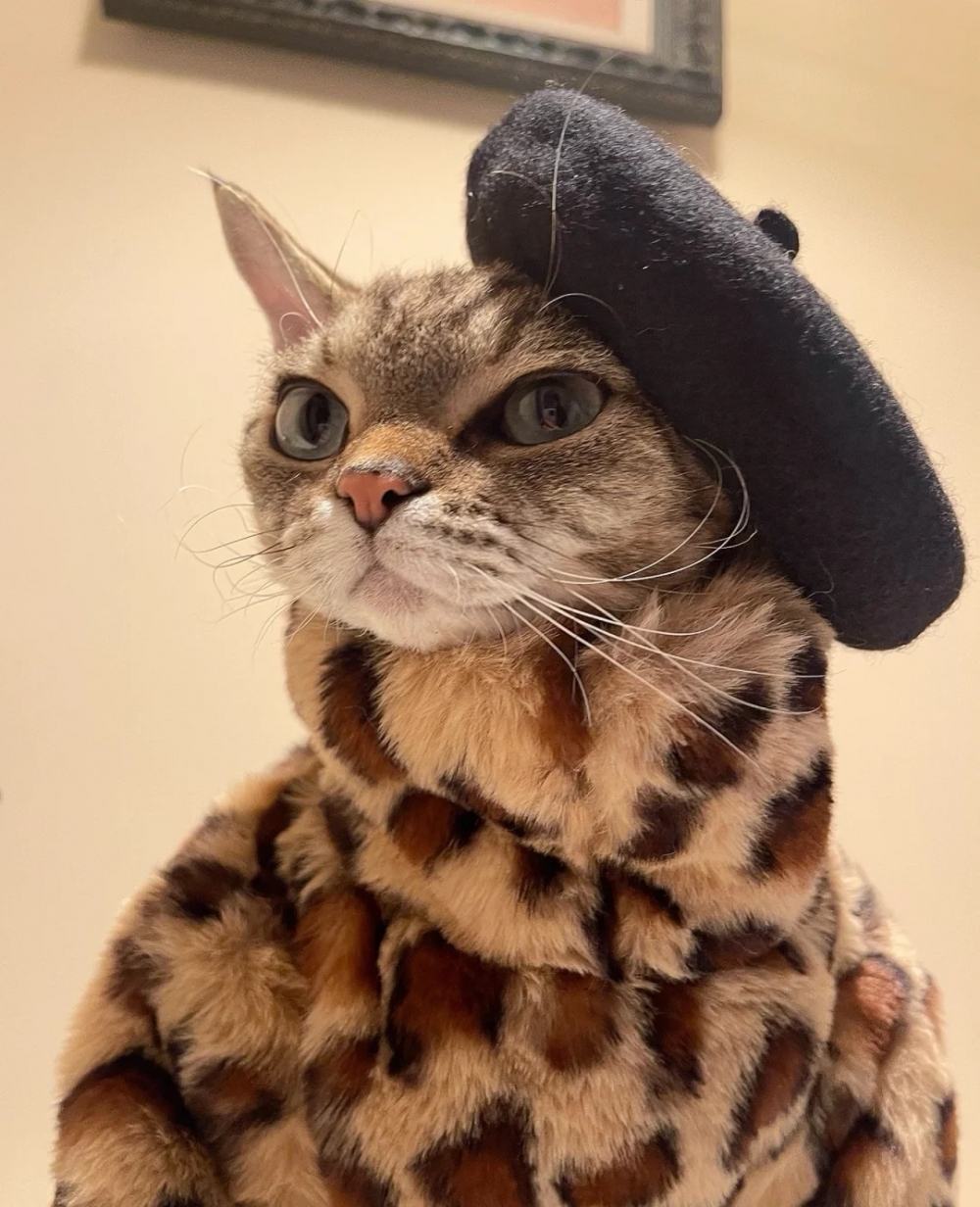 奴才：你這麼一說好像也是啦