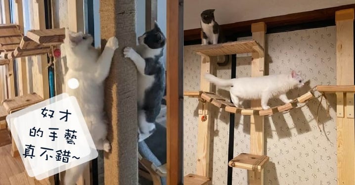 手作DIY！量身定做的貓咪爬架~麻繩捆綁的柱子竟成了最愛的磨甲好物！