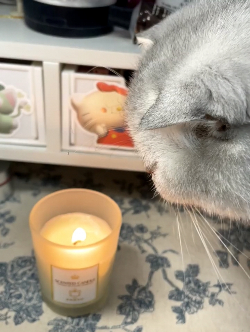 奴才：以為你感覺到熱就不會靠近了，原來是我低估了