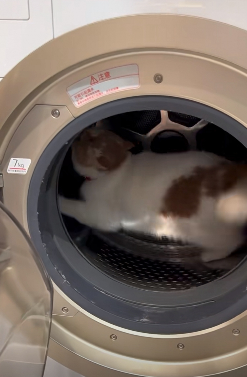 奴才：我給你加油打氣啦