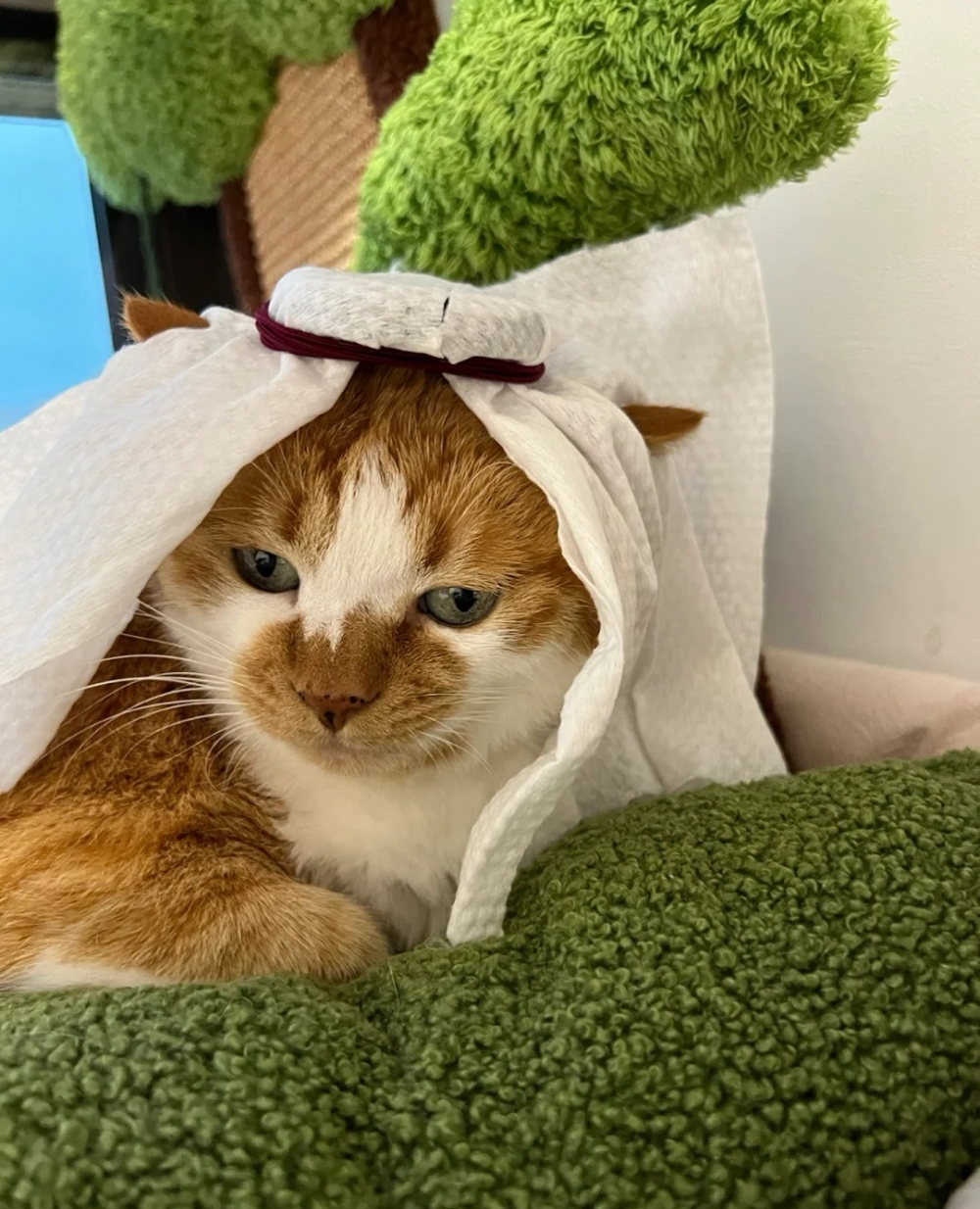 奴才:還算是懂得感恩啦