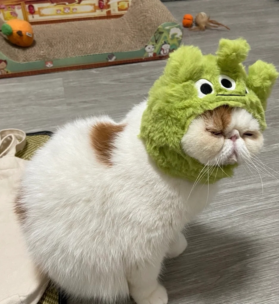 奴才：知道了~別不開心囉！