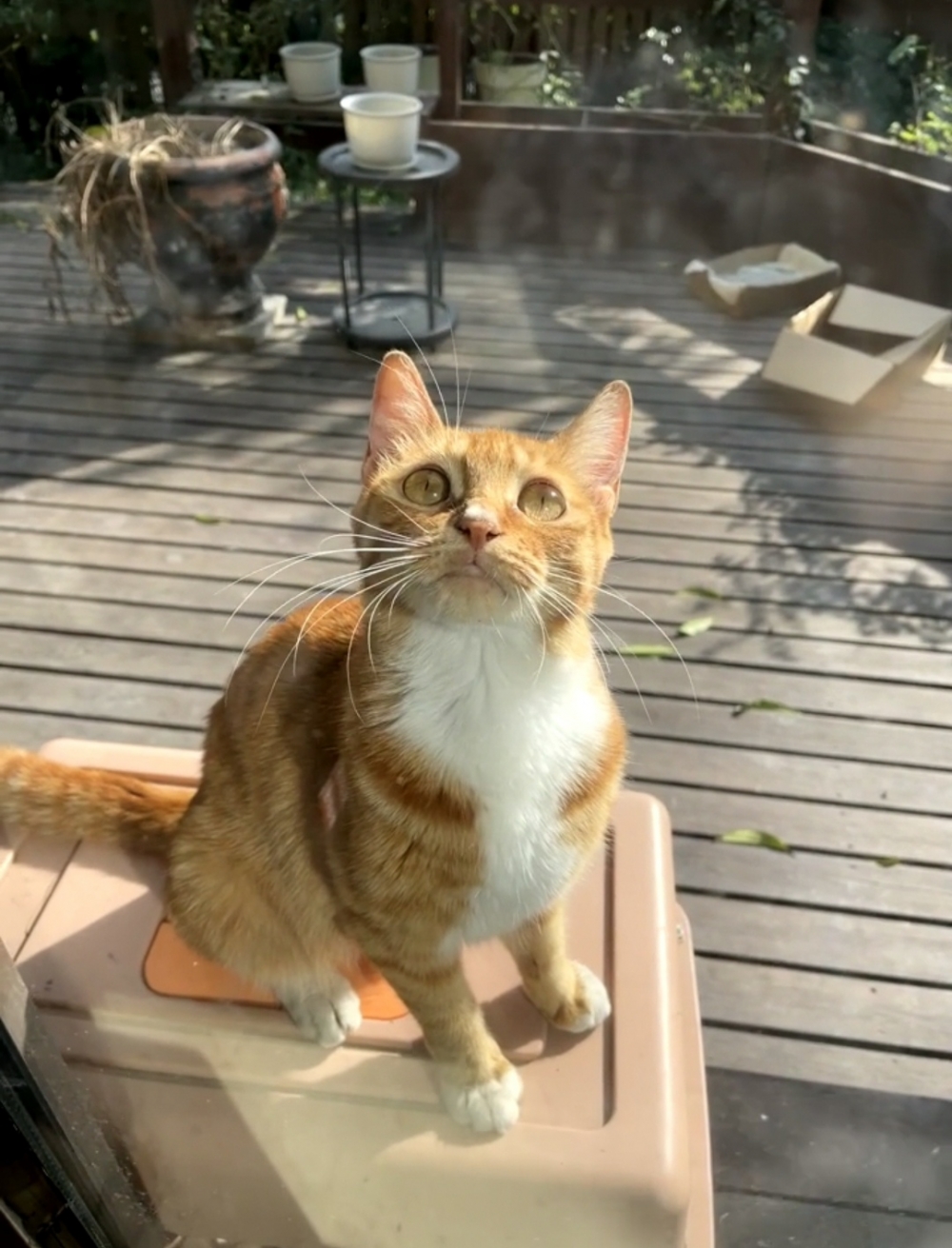 奴才：讓你久等了