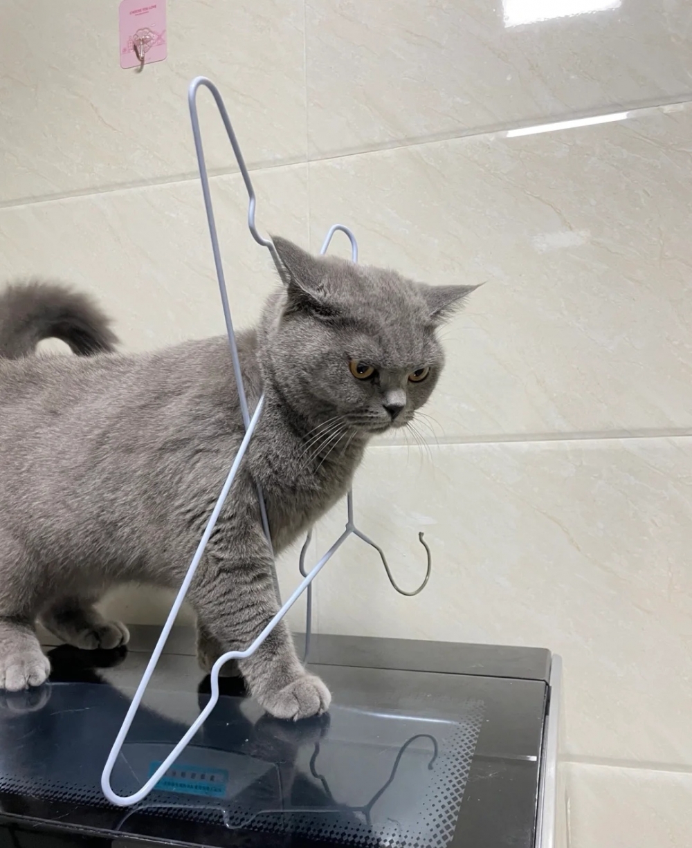 奴才：又不是我害的，你幹嘛那麼兇看著我啦