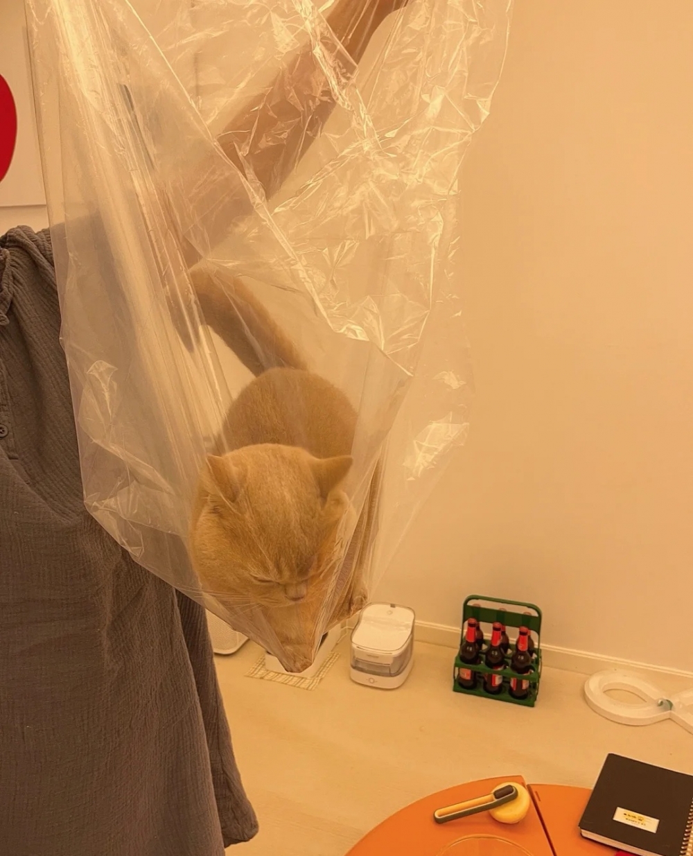 奴才：都知道是跟你玩，還那麼認真幹嘛啦