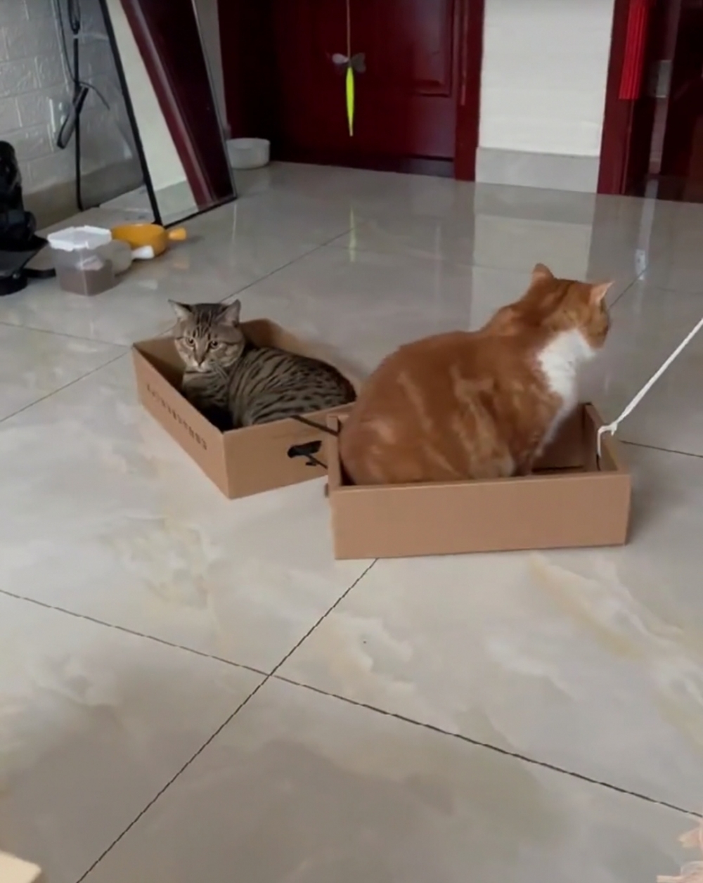 奴才：後座的真會享受啊！