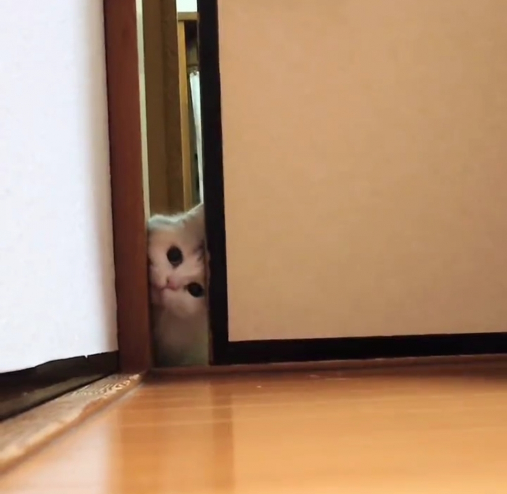 奴才：別著急啦