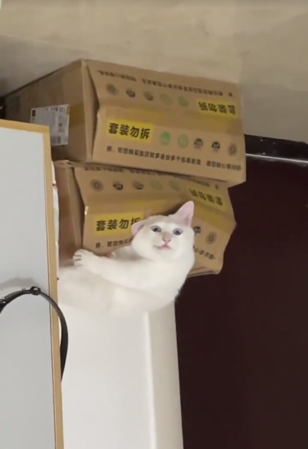 奴才：我打算拍個照啊