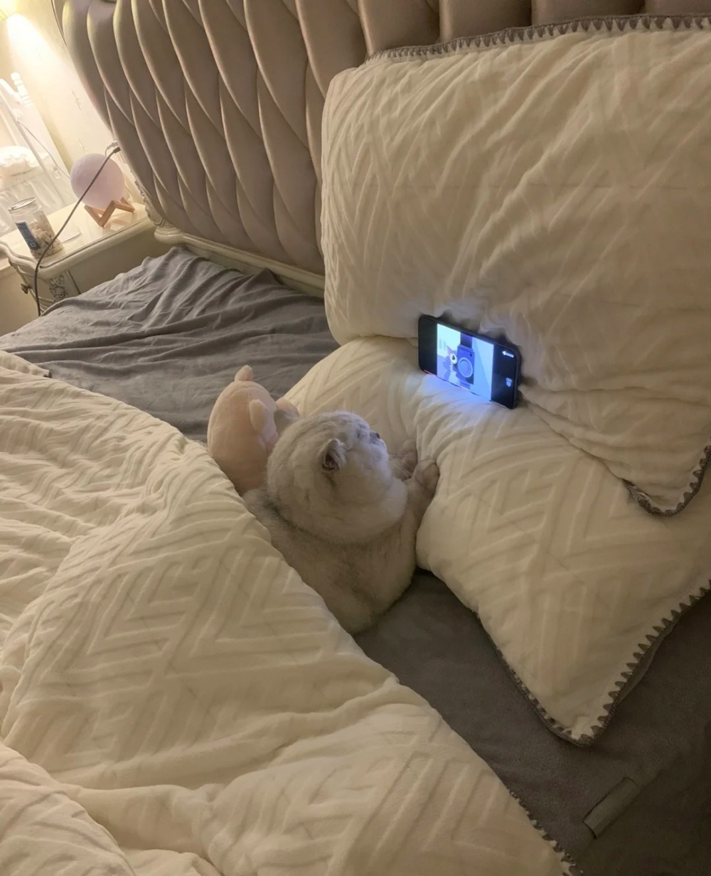 奴才：你真的挺會享受的！