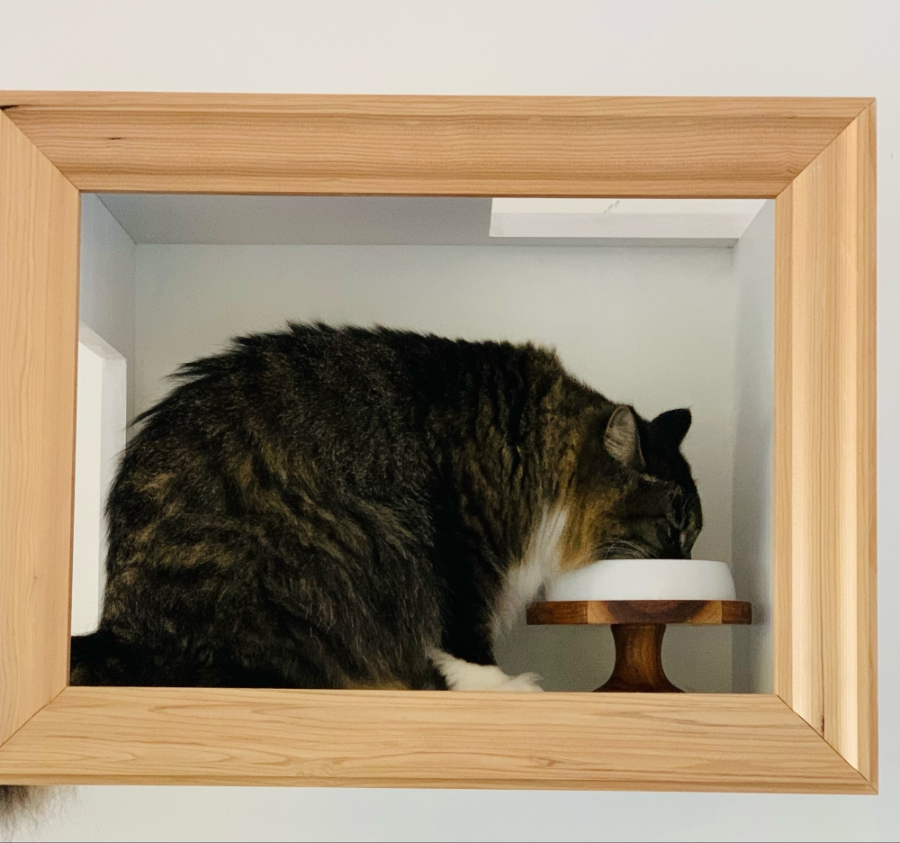 奴才:真的就像是一幅畫啊