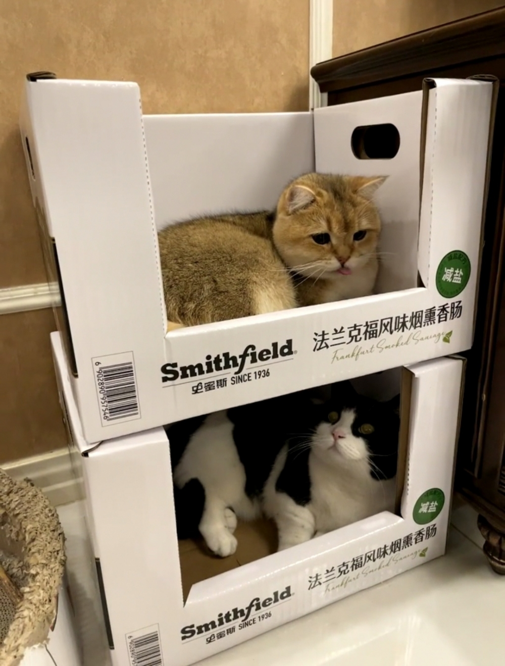 奴才：是有多不想和其他小夥伴一起啊！