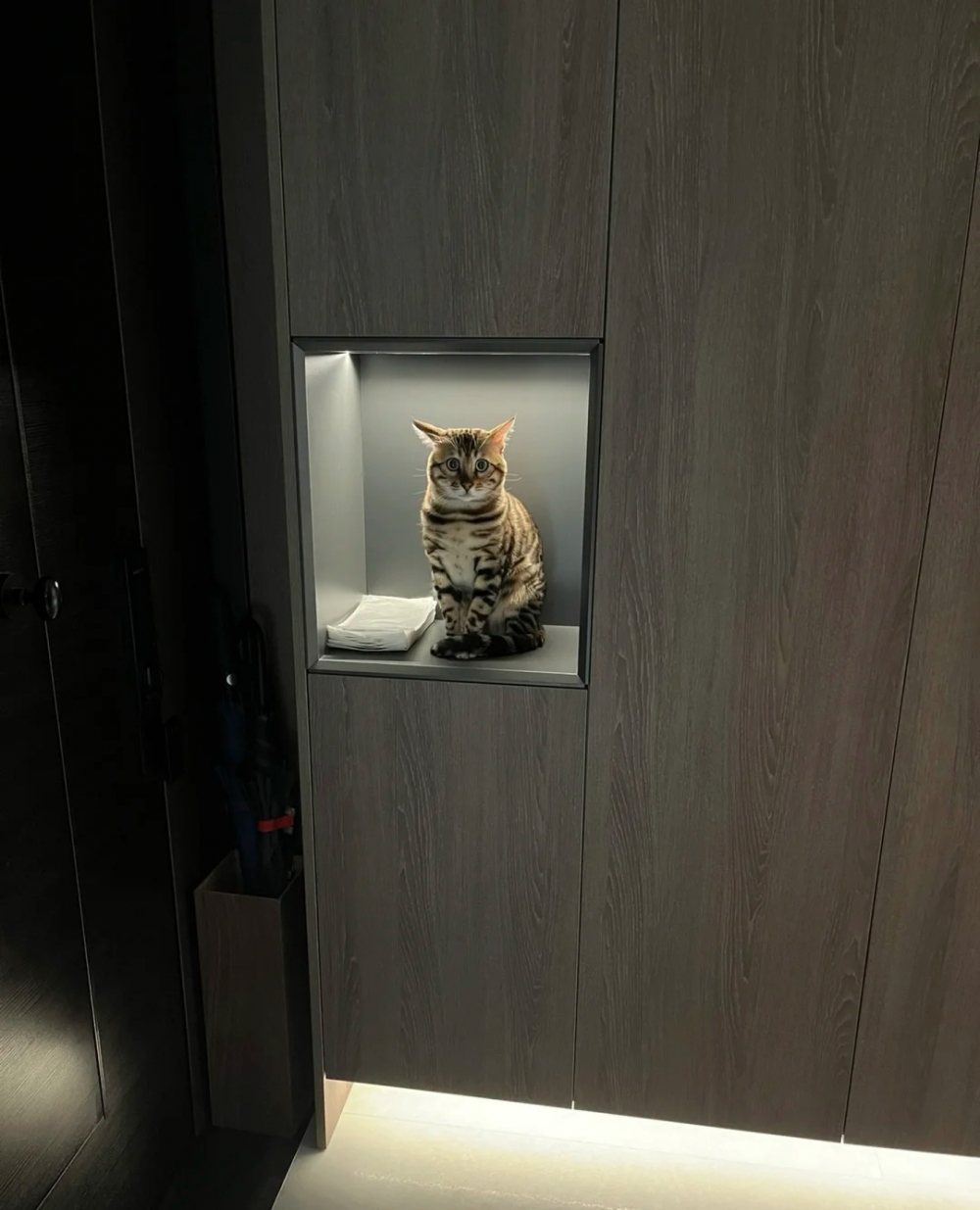 奴才：肯定早去早回！