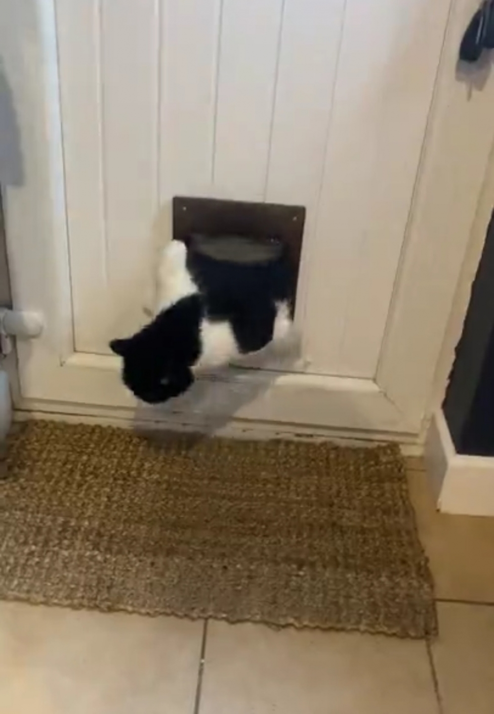 奴才：再努力一點就可以很絲滑地進入房間啦