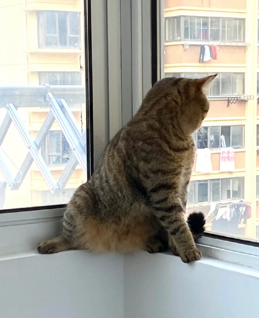 奴才：你猜做什麼，這樣很危險誒