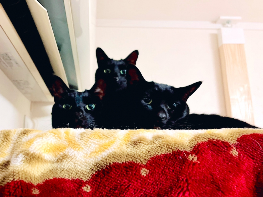 奴才：確實有種神秘感