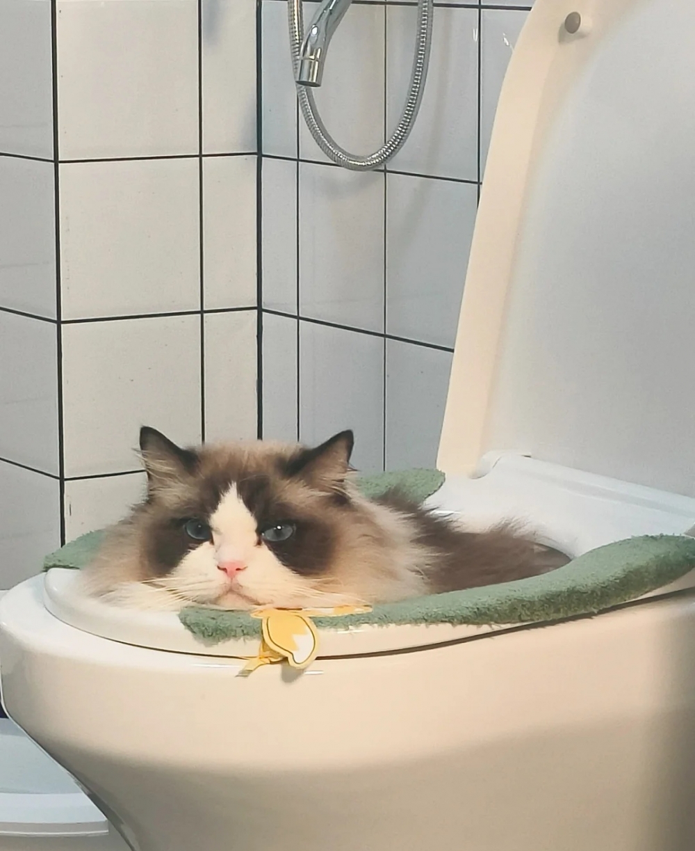 奴才:你是認真的嗎?