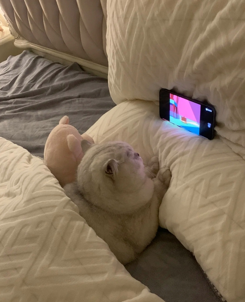 喵：百看不厭喔