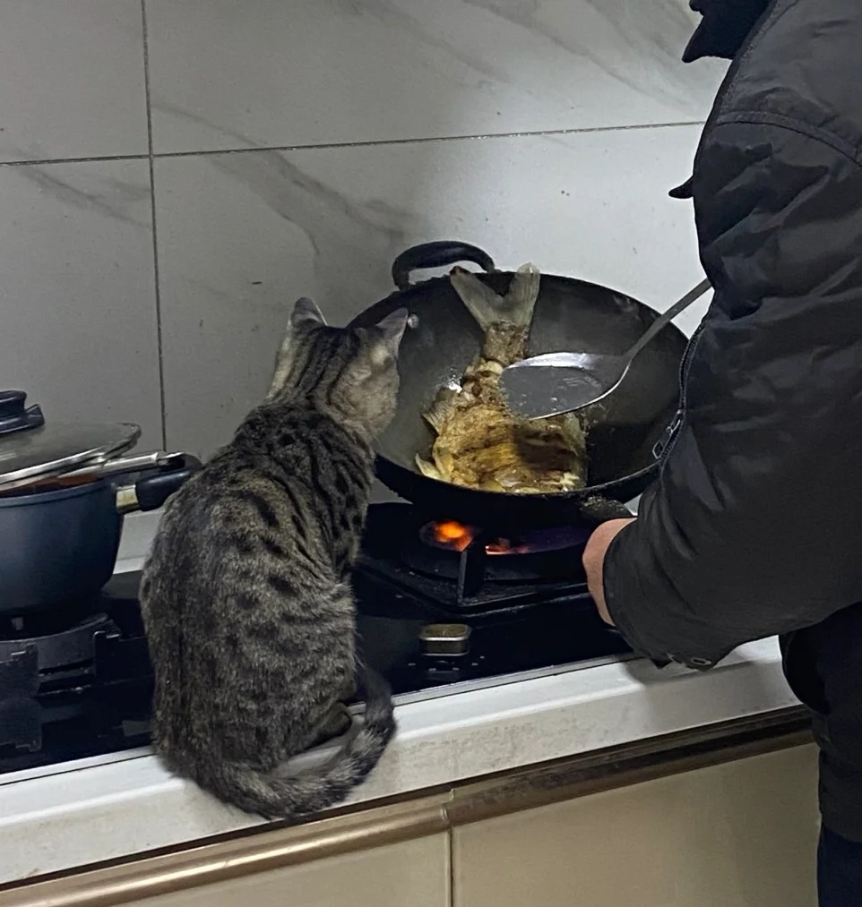 奴才:沒事是值得等待噠