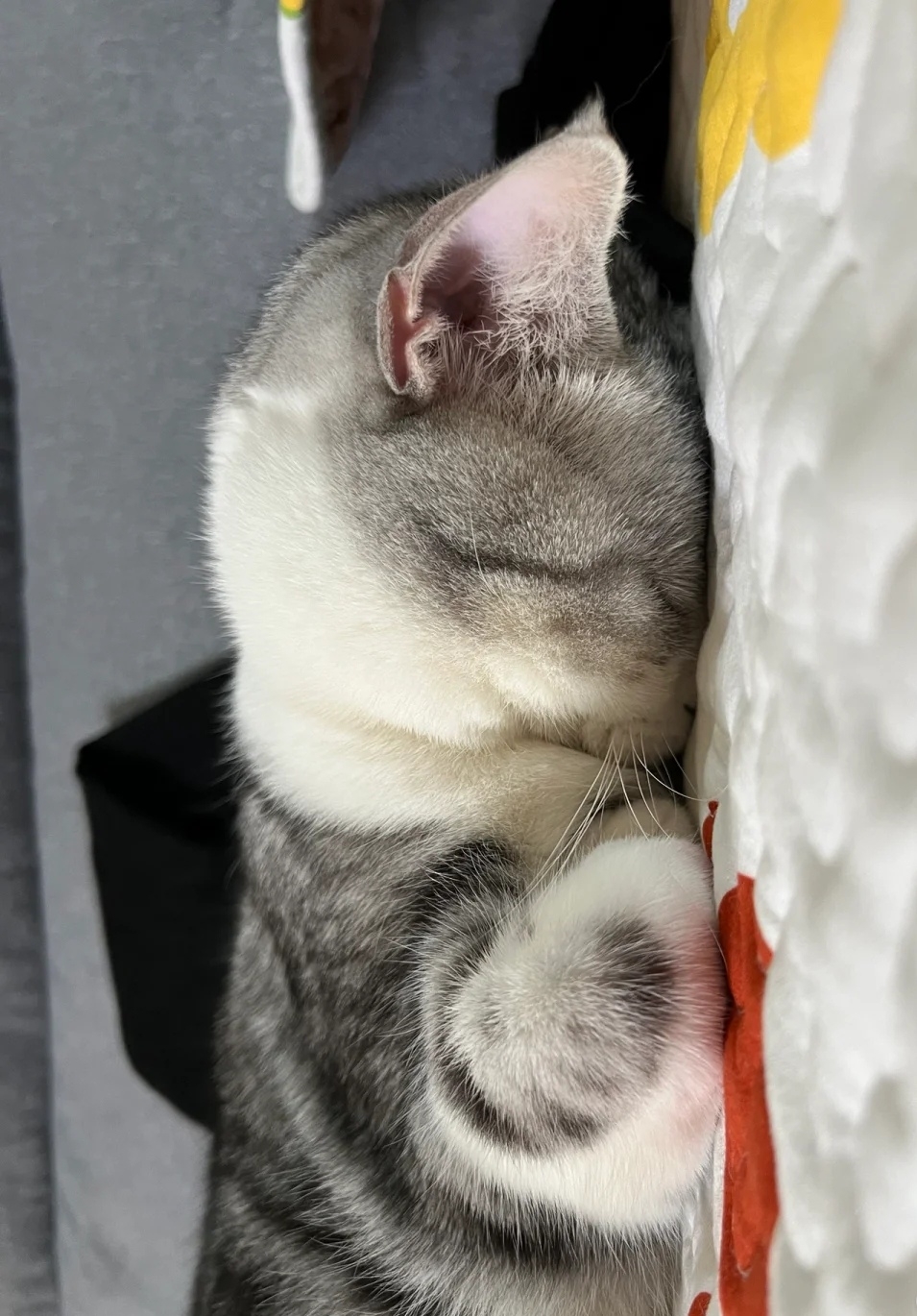 奴才:你是認真的嗎