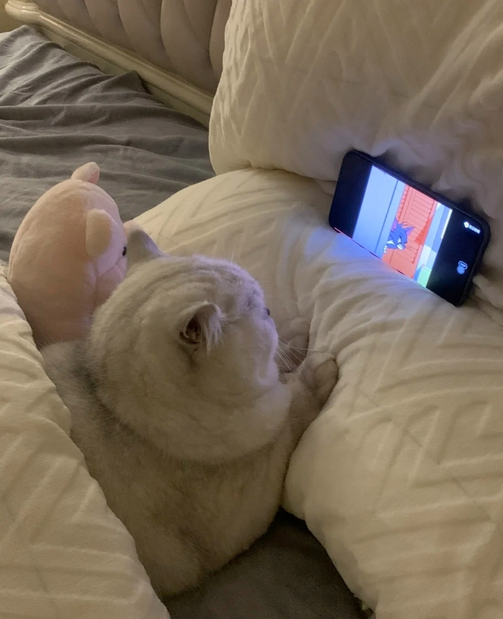 奴才：知道啦~今天只能看兩集喔