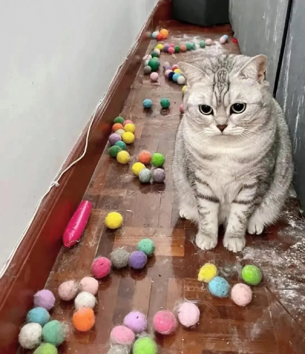 奴才：震驚！沙發底下還有那麼多玩具~