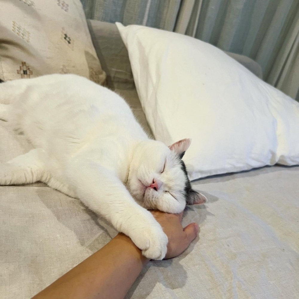 奴才：竟然說出那麼暖心的話