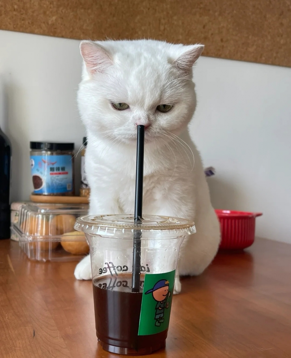 奴才：不要想著動什麼歪心思喔