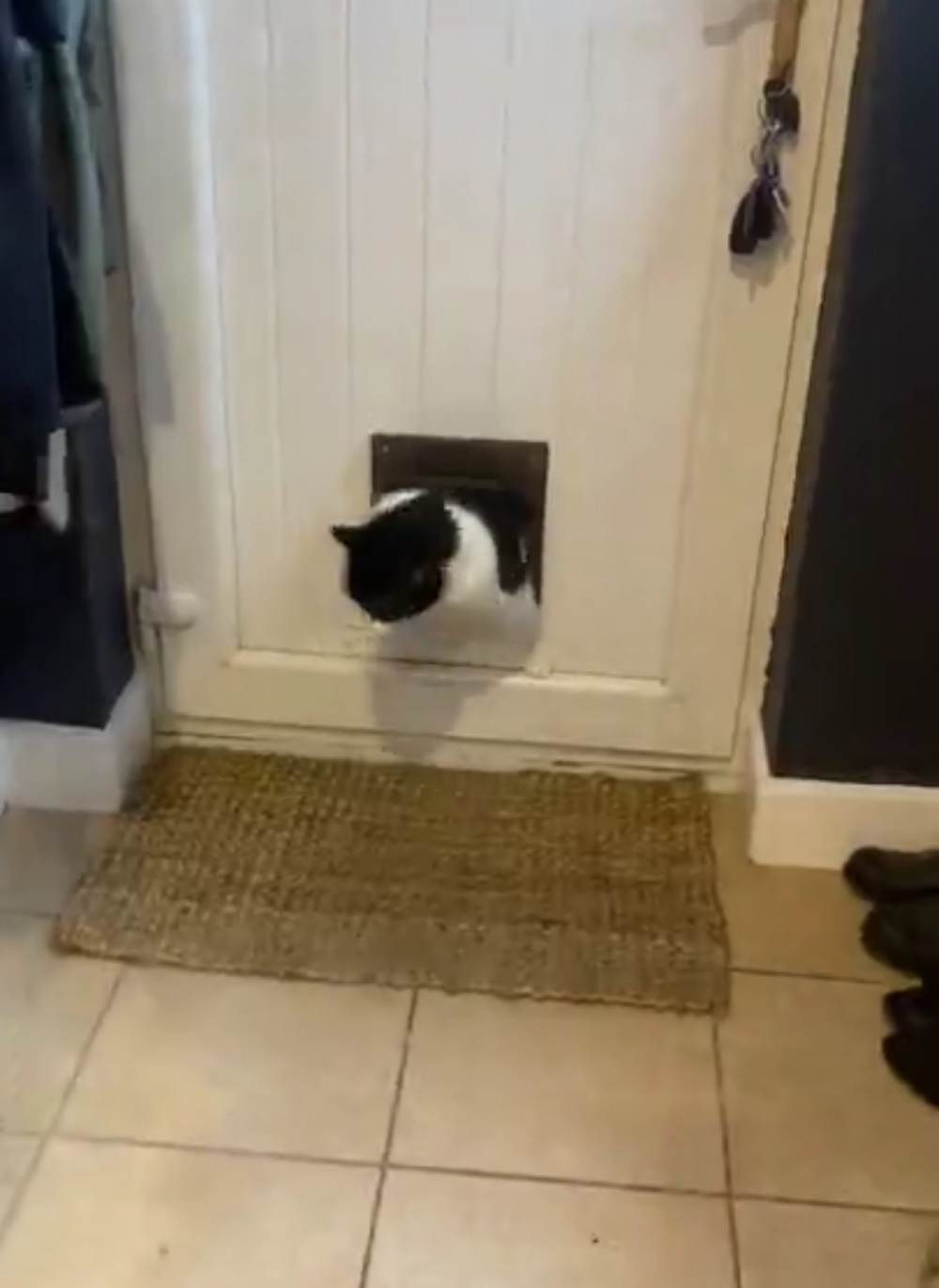 奴才：要不要幫你一把啊？