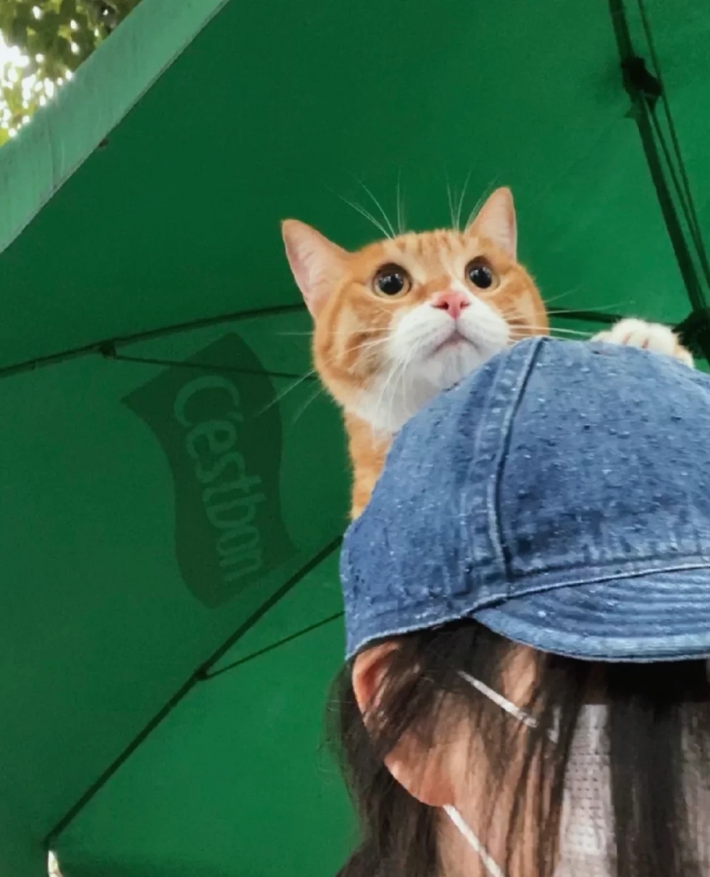 奴才：那你多吸幾口，回到家就沒有這個機會了