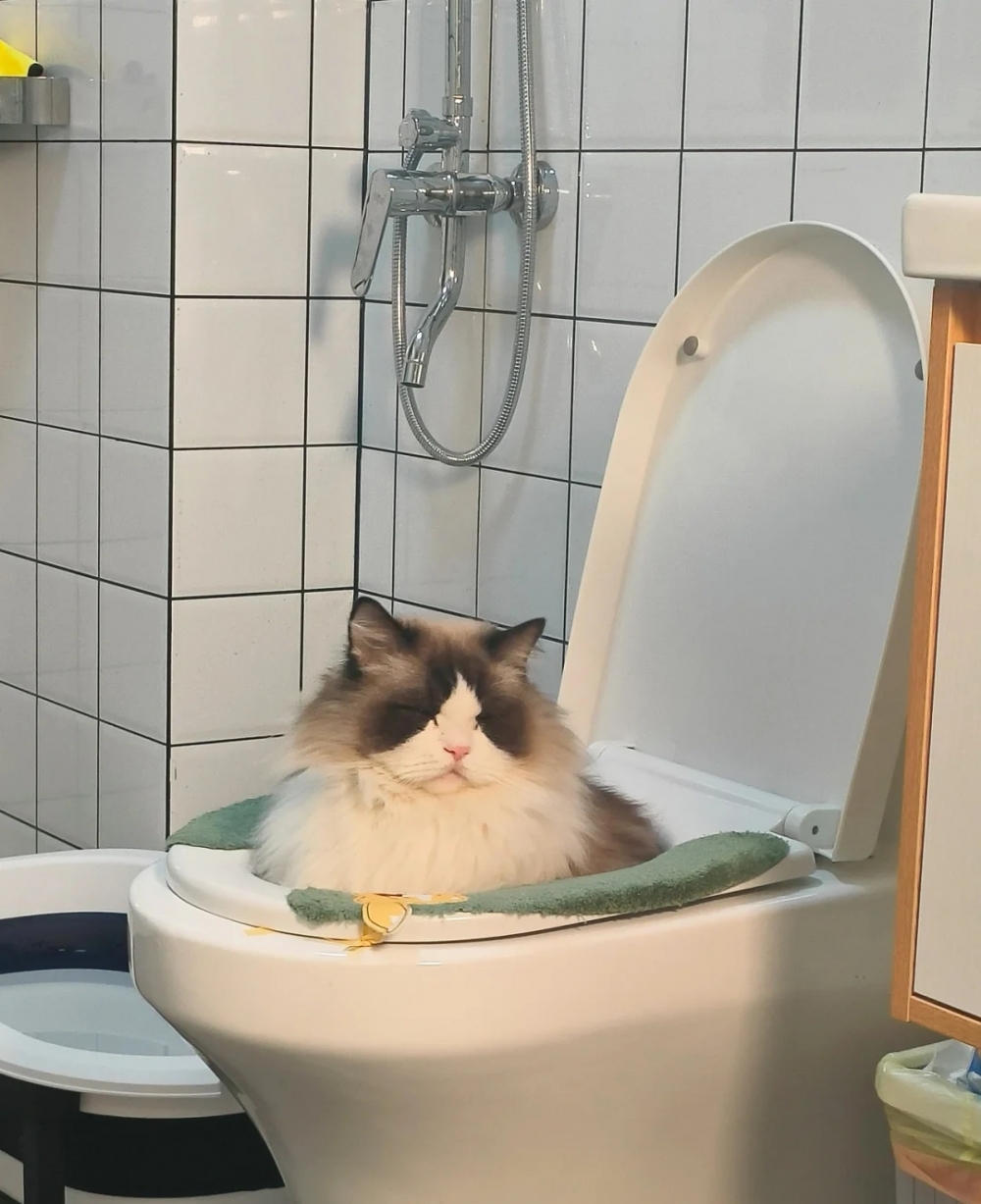 奴才:還不是因為你啊~