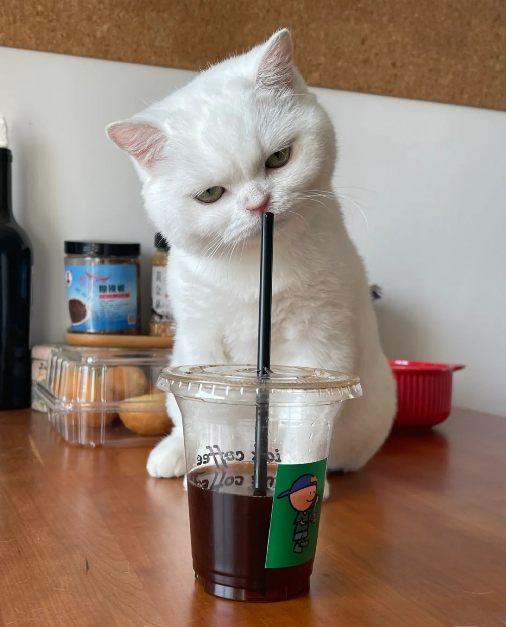 奴才：你的好奇心很重誒