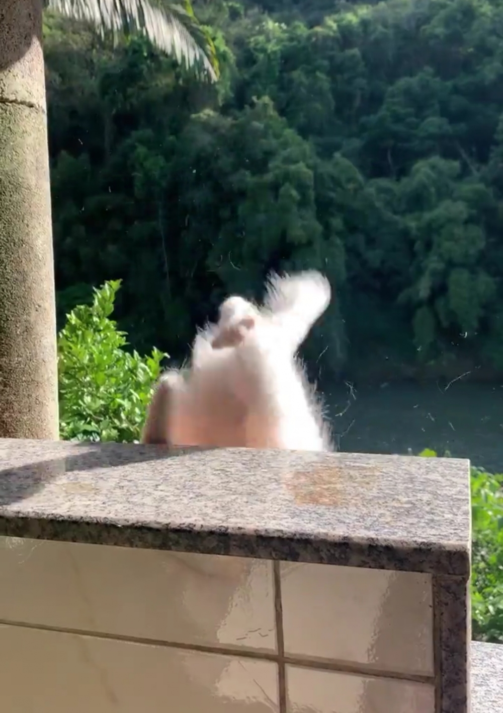 喵：嚇死寶寶了！