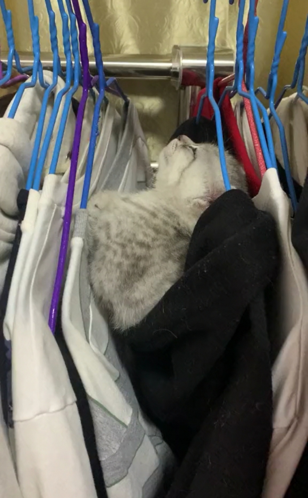 奴才：好吧好吧~別真的摔了就好