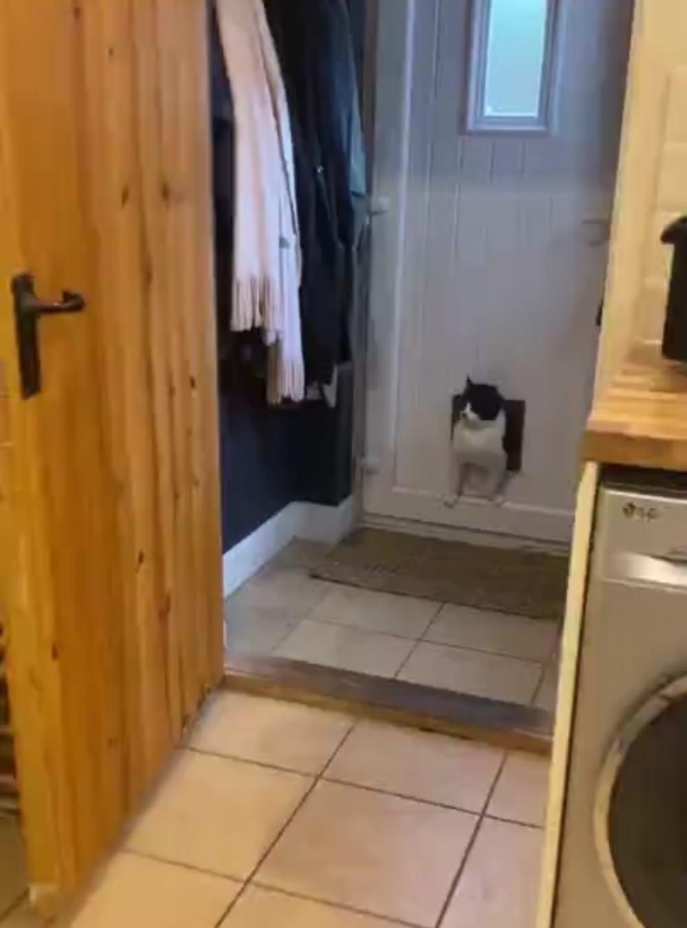 奴才：誒誒~別激動啊