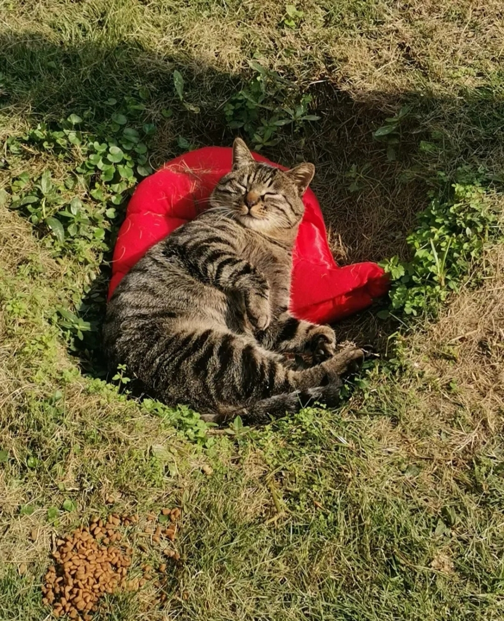 同學：還有枕頭，你也挺會享受啊