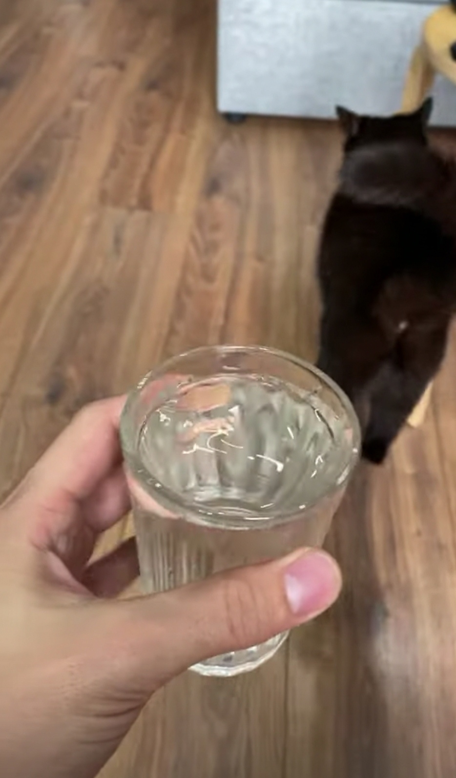 奴才：好吧~真拿你沒辦法