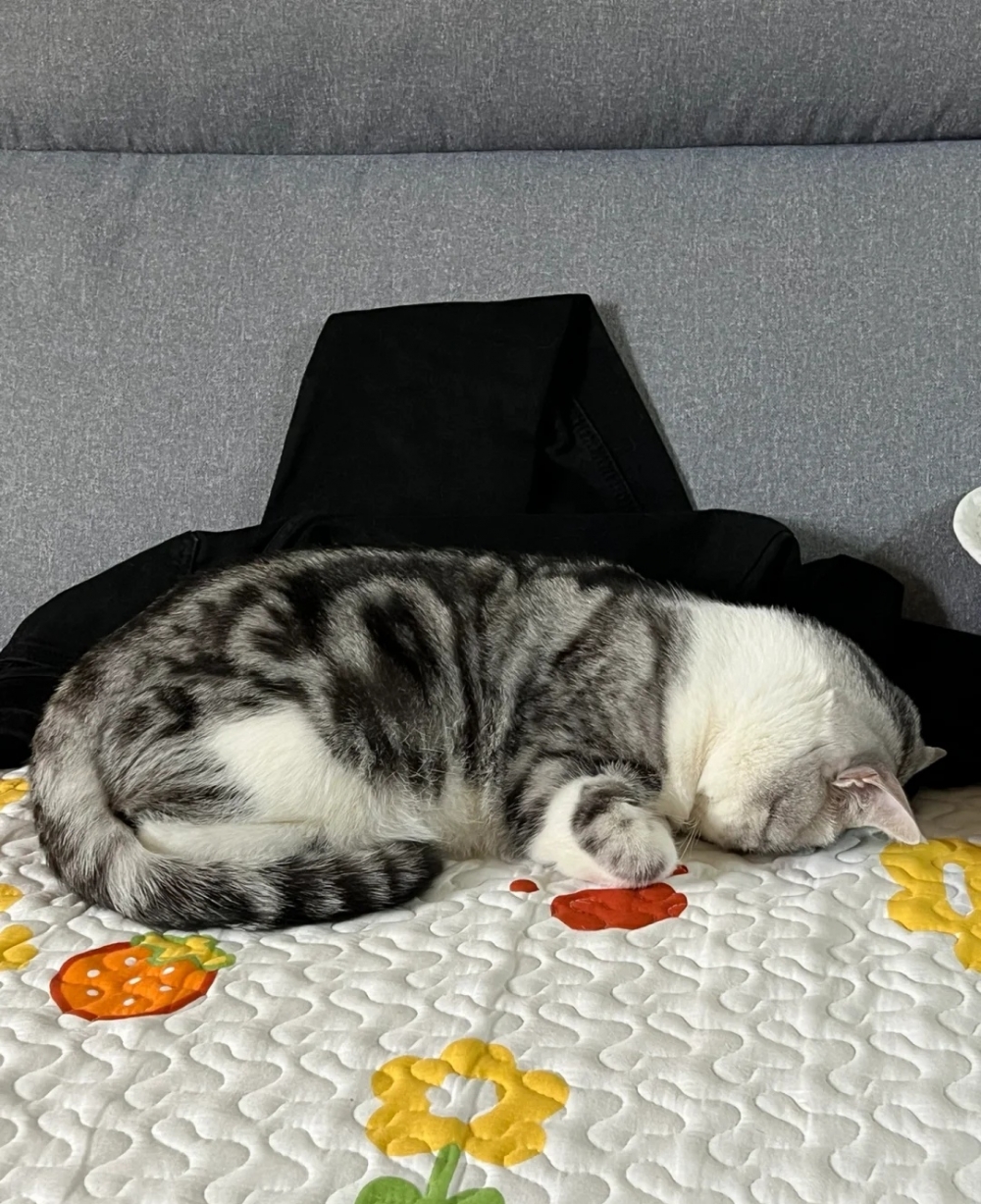 奴才:好吧,你自己要注意安全喔