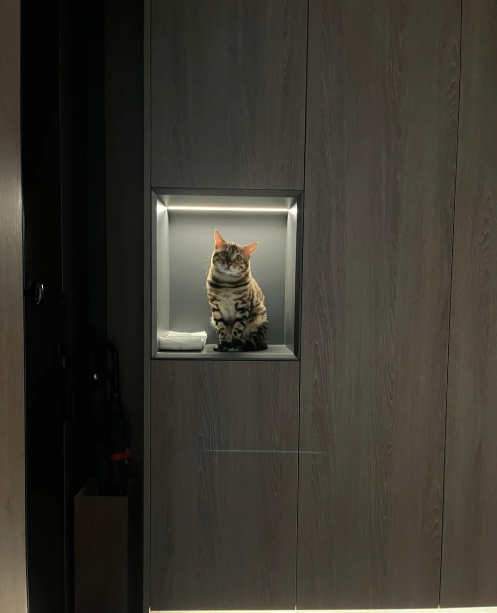 喵：那當然是最好不過了