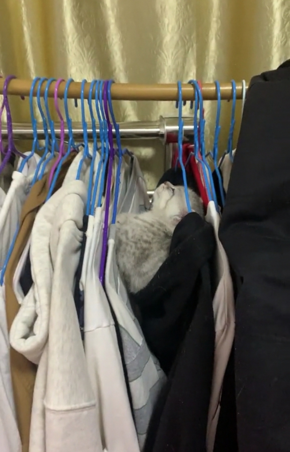 奴才：自己要注意安全啊