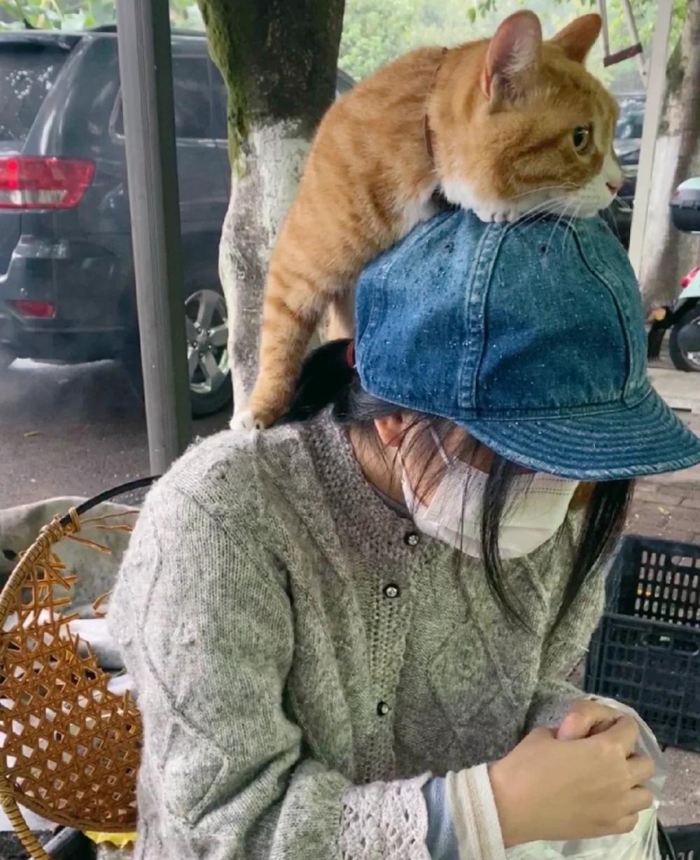 喵：好奇心可以戰勝一切~