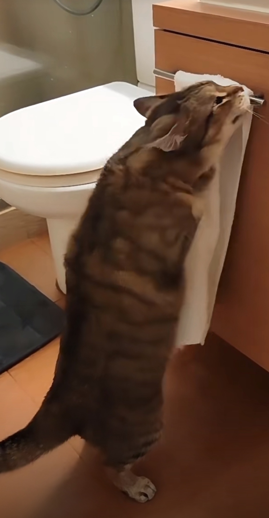 奴才：都是我訓練有加啦