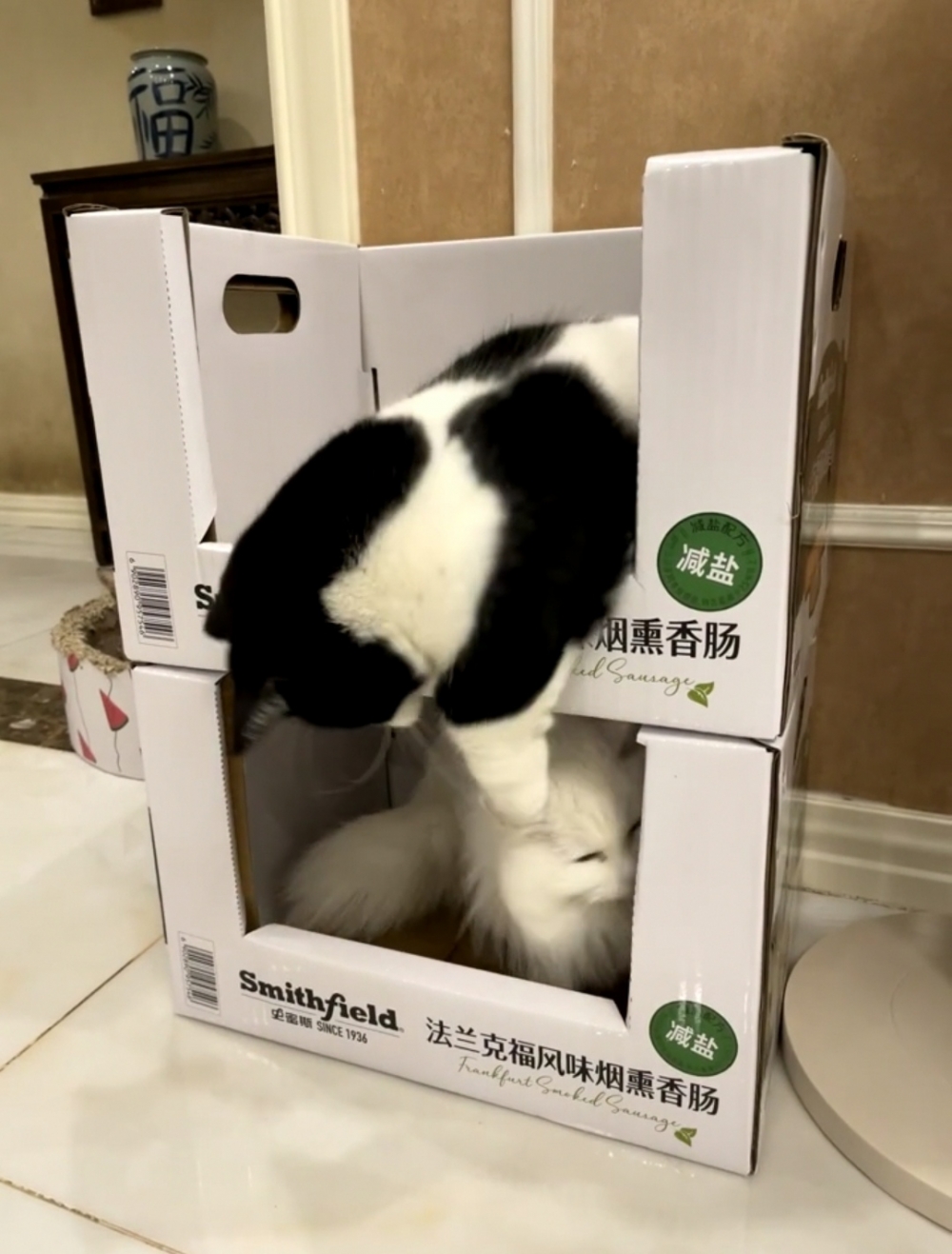 奴才：分開了還是那麼八卦