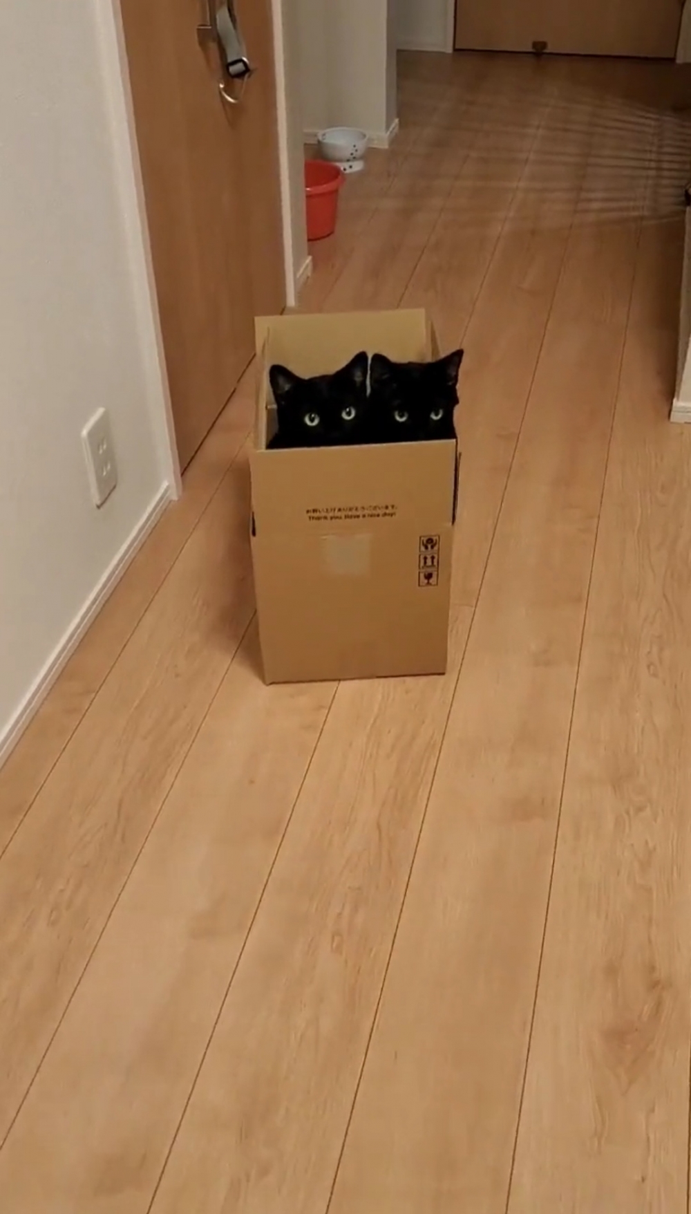 奴才：看到你們這樣我很欣慰