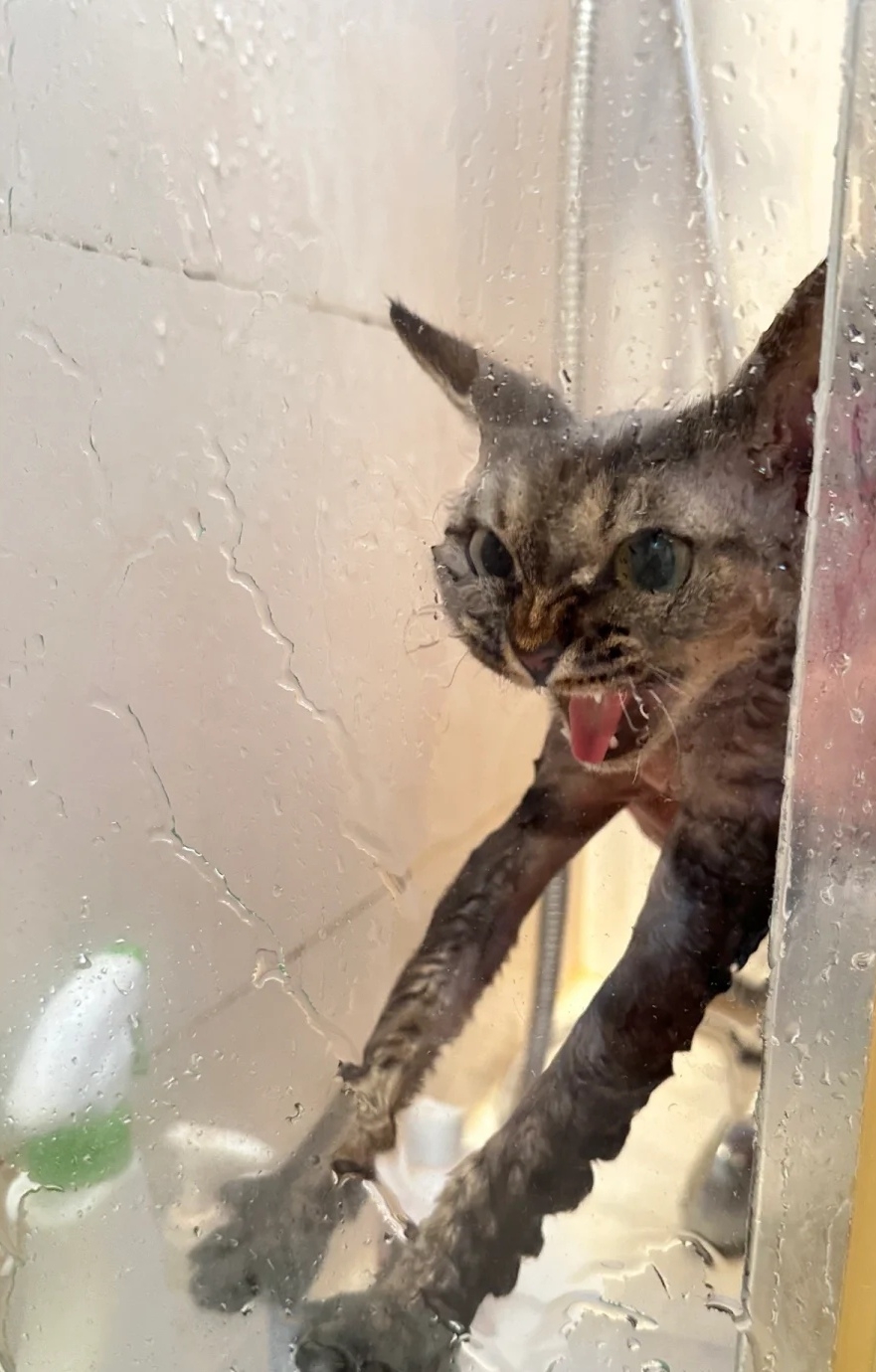 奴才：不管你怎麼樣還是一樣要洗澡噠