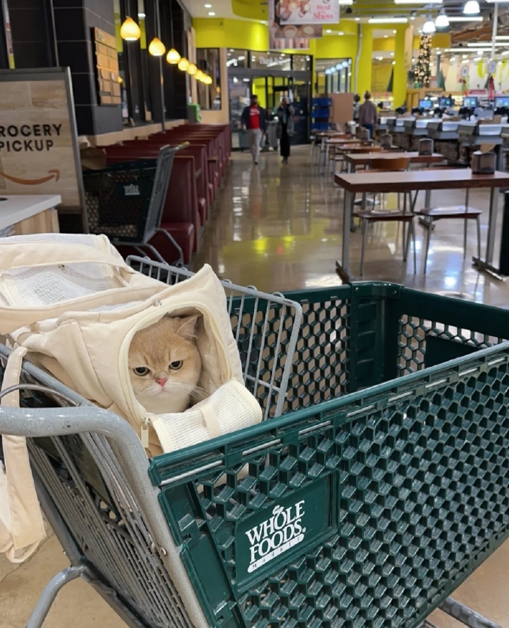 喵：那還差不多（心情由陰轉晴）