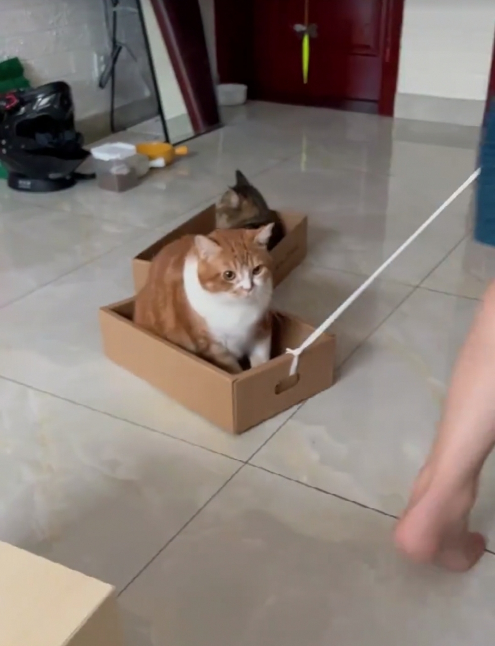 奴才：那就啟動吧