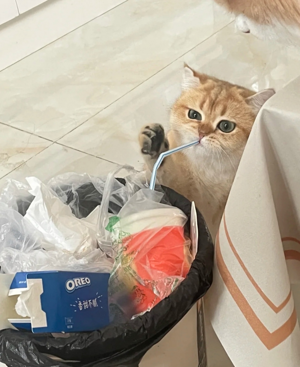 奴才：都誒我喝完了啦~