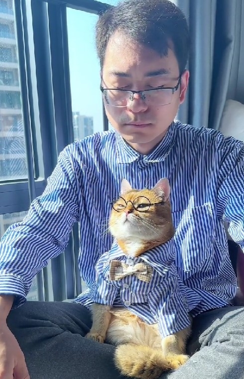 喵:朕不需要啦